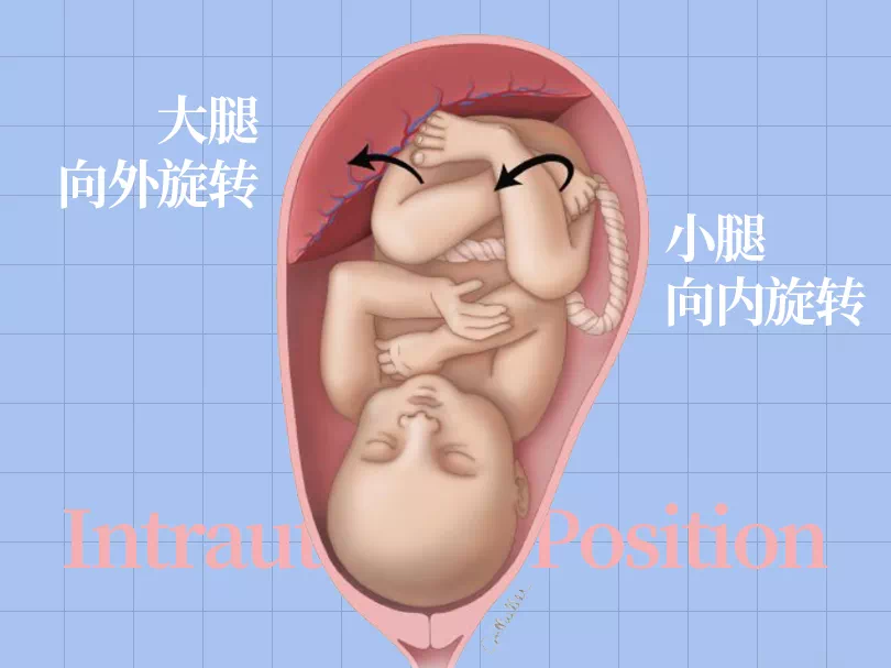 足底壓力分布計(jì)量